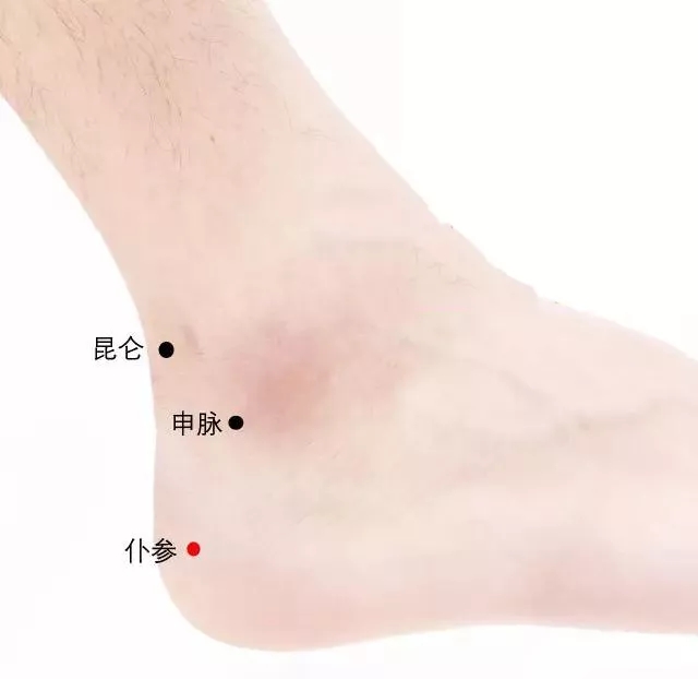 仆参穴