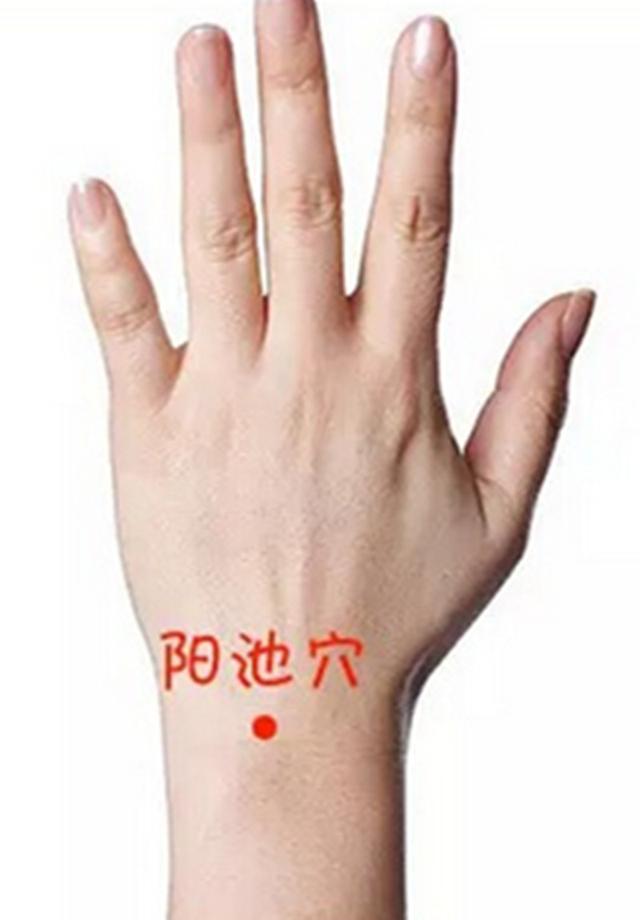 阳池穴位的作用