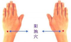 阳池穴的准确穴位图及功效作用