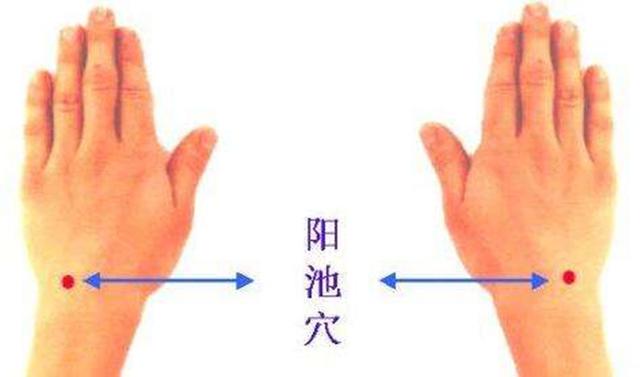 阳池穴