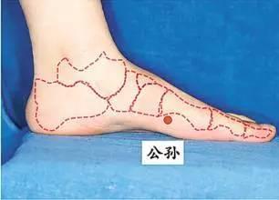 公孙穴位的作用