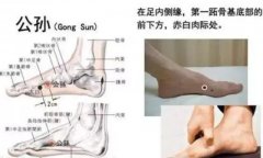 公孙穴的准确穴位图及功效作用