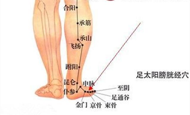 京骨穴的准确穴位图及功效作用