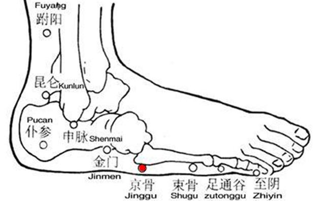 京骨穴的准确穴位图