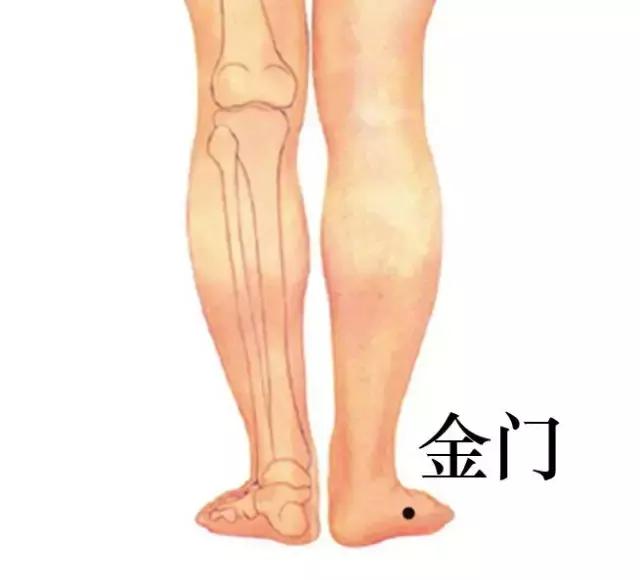 金门穴的准确穴位图