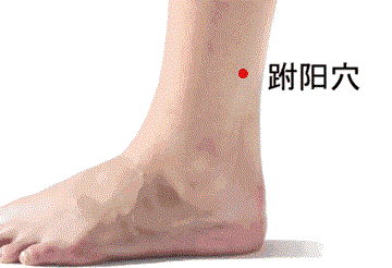 跗阳穴的准确穴位图及作用