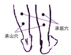 承筋穴的准确穴位图及作用