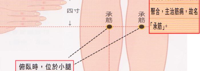 承筋穴的准确穴位图