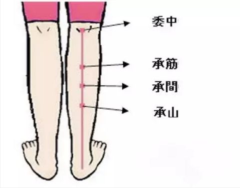 承筋穴位的作用 