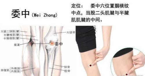 委中穴