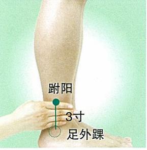 跗阳穴