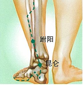 跗阳穴的准确穴位图