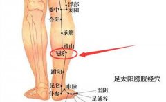 飞扬穴的准确穴位图及作用