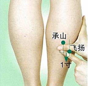 飞扬穴位的作用