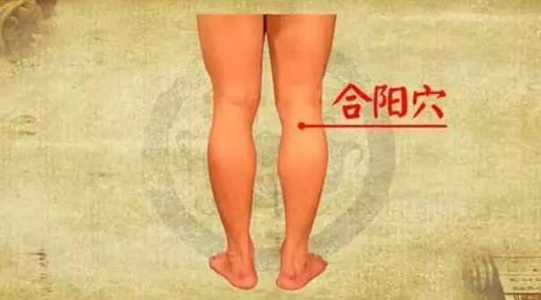合阳穴