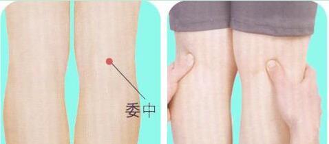 委中穴的准确穴位图