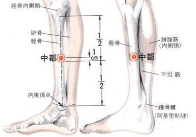 中都穴位的作用