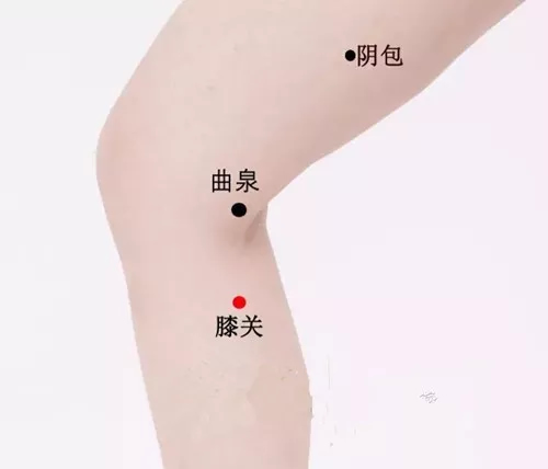膝关穴的准确位置图