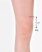 阴包穴的准确穴位图及功效