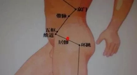 居髎穴的准确位置图