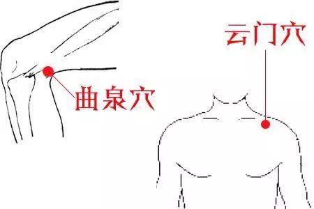 曲泉穴位的作用
