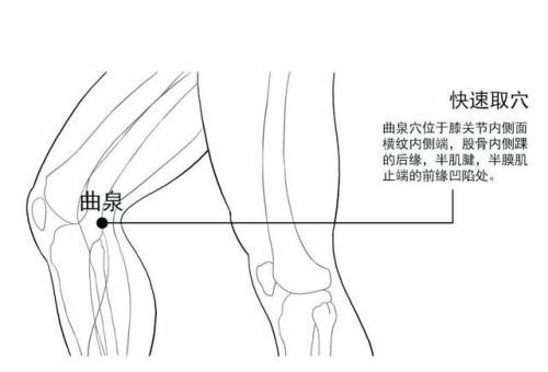 曲泉穴的准确位置图