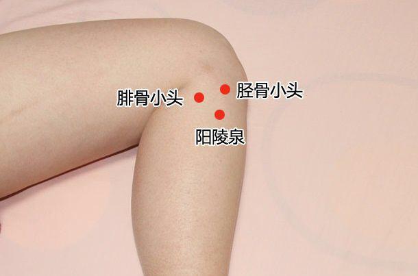 阳陵泉穴的准确穴位图