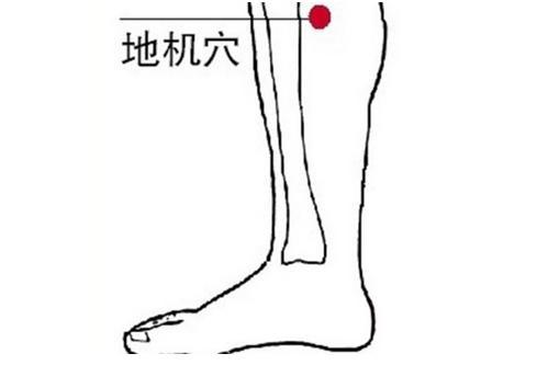地机穴的准确穴位图