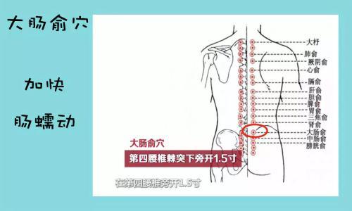 艾灸穴位