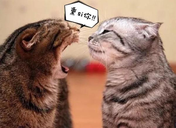 口臭