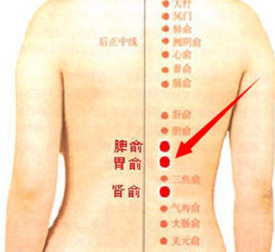 艾灸穴位