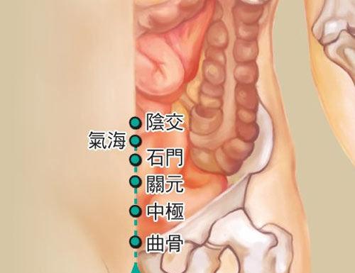 艾灸穴位
