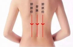 人体十二经络分析