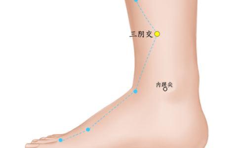 艾灸穴位