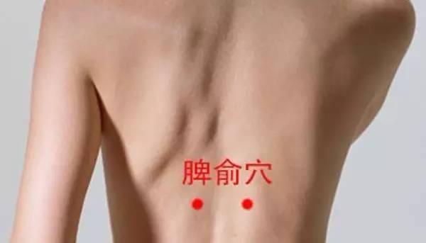 艾灸穴位