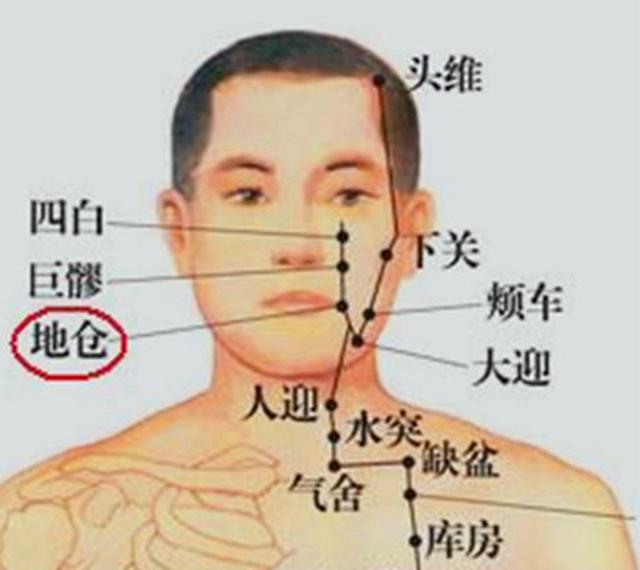 颊车穴的准确穴位图及作用