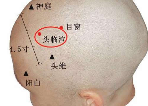 阳维足少阳阳明交会穴头维穴
