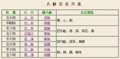 人体八脉交会穴歌诀概念及作用