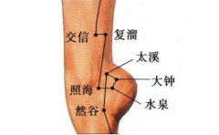交信穴的准确穴位图及作用