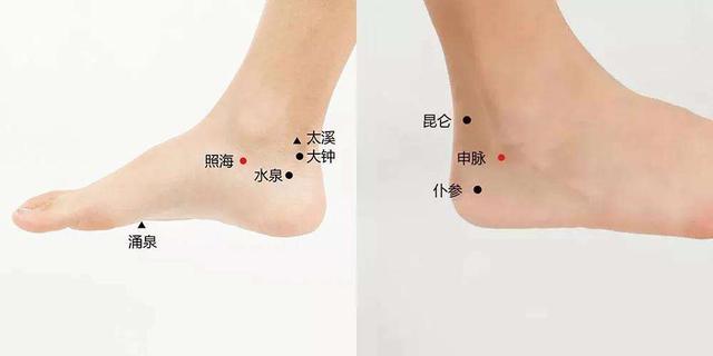 阴跷脉的作用