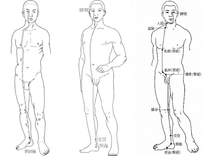阴跷脉循行线路图