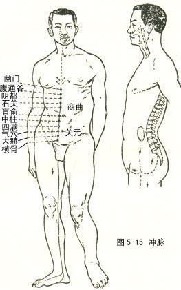 十二经络