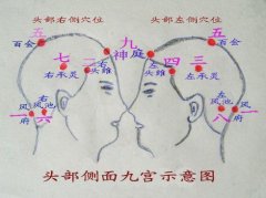 头部穴位