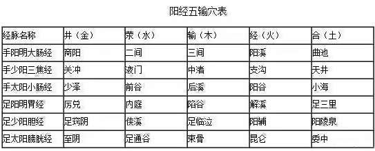 阴经五输穴