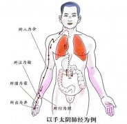各经五俞穴为何都起于四肢末端