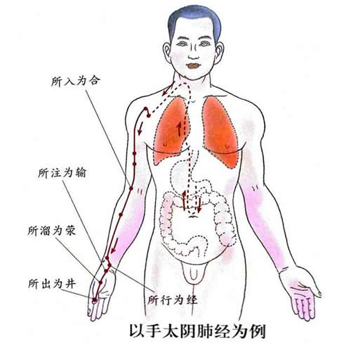 五俞穴（五输穴）