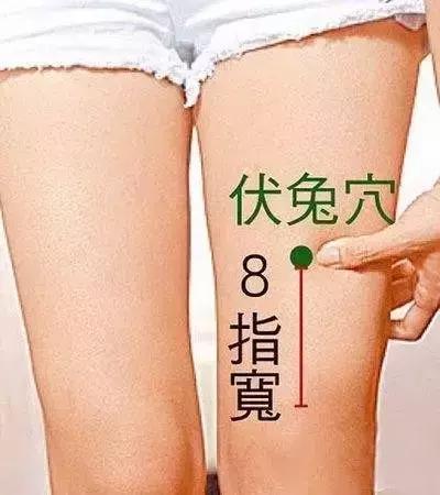伏兔穴的准确位置图