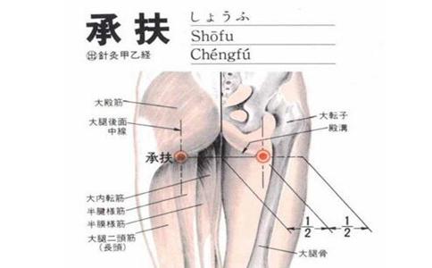 承扶穴的作用  