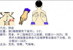 肺俞穴补肺气:调补肺气养肺散热!