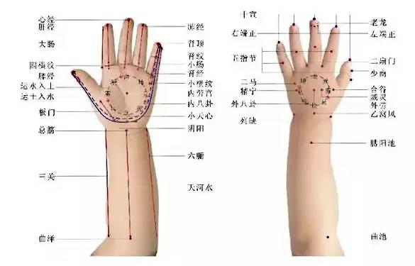 小儿推拿补脾经